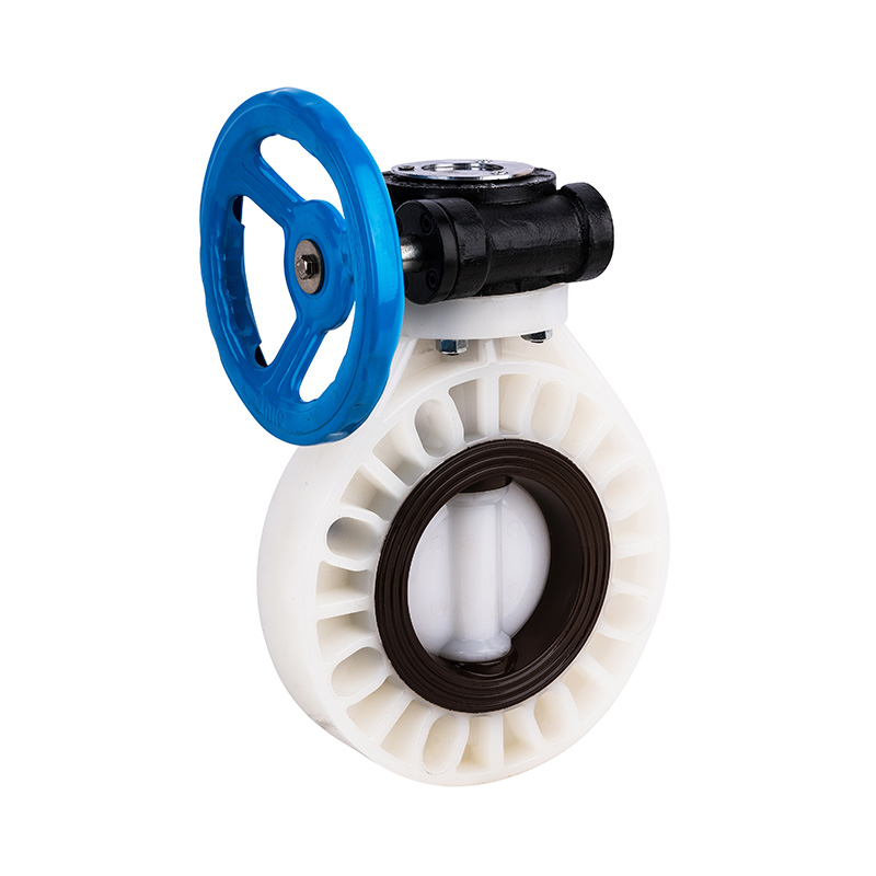 PVDF D371X-10F Worm-Gear Butterfly Valve DN32-1000 GB استاندارد