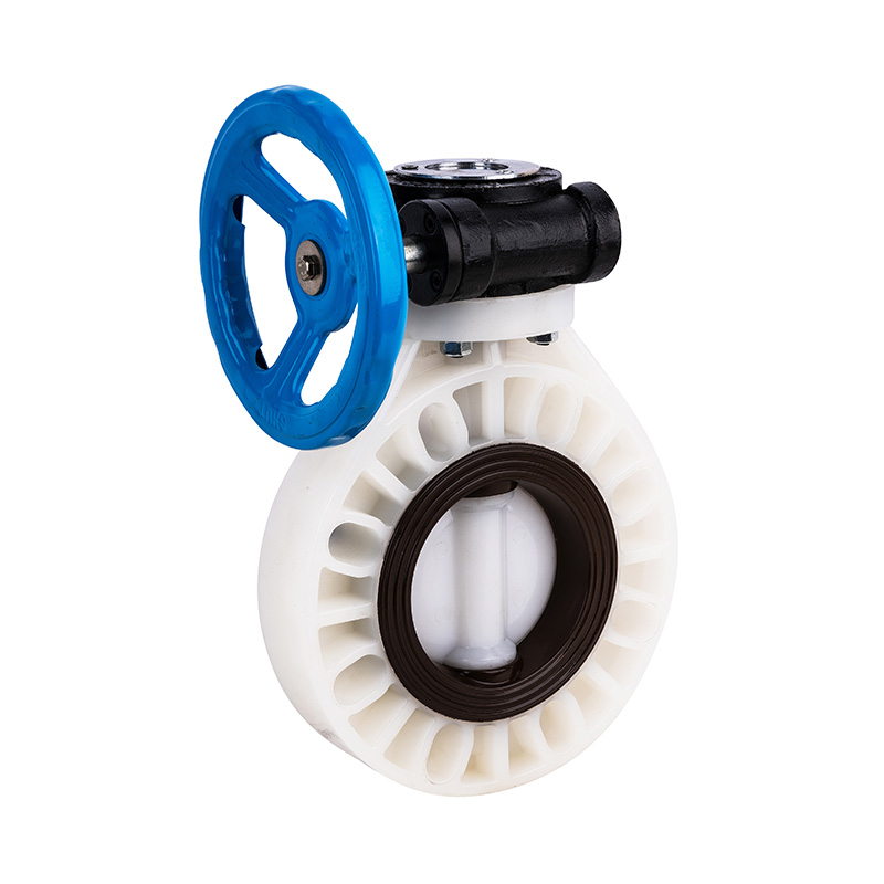 PVDF D371X-10F Worm-Gear Butterfly Valve DN40-1000 1-1/2'-30' ANSI استاندارد