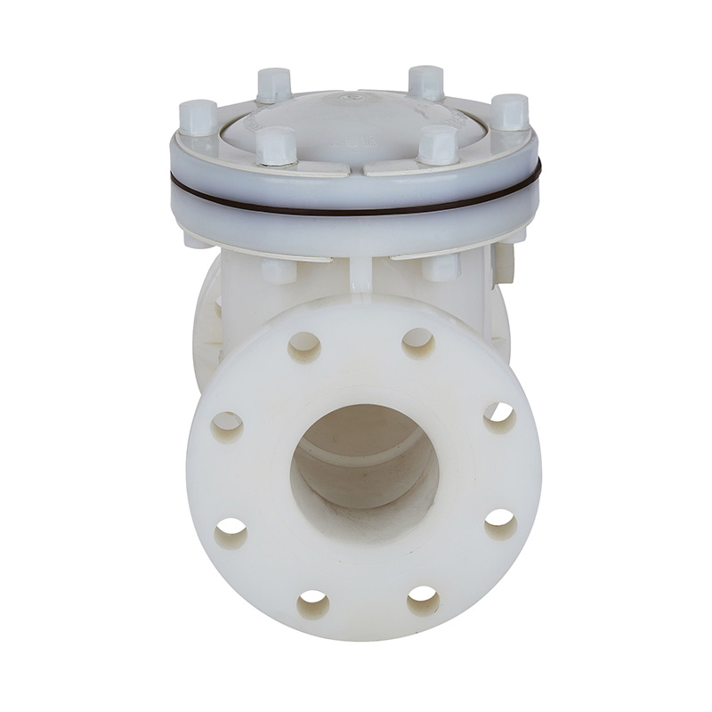 PVDF H44F-10F نوع چرخش سوپاپ بررسی استاندارد DN15-300 گیگابایت