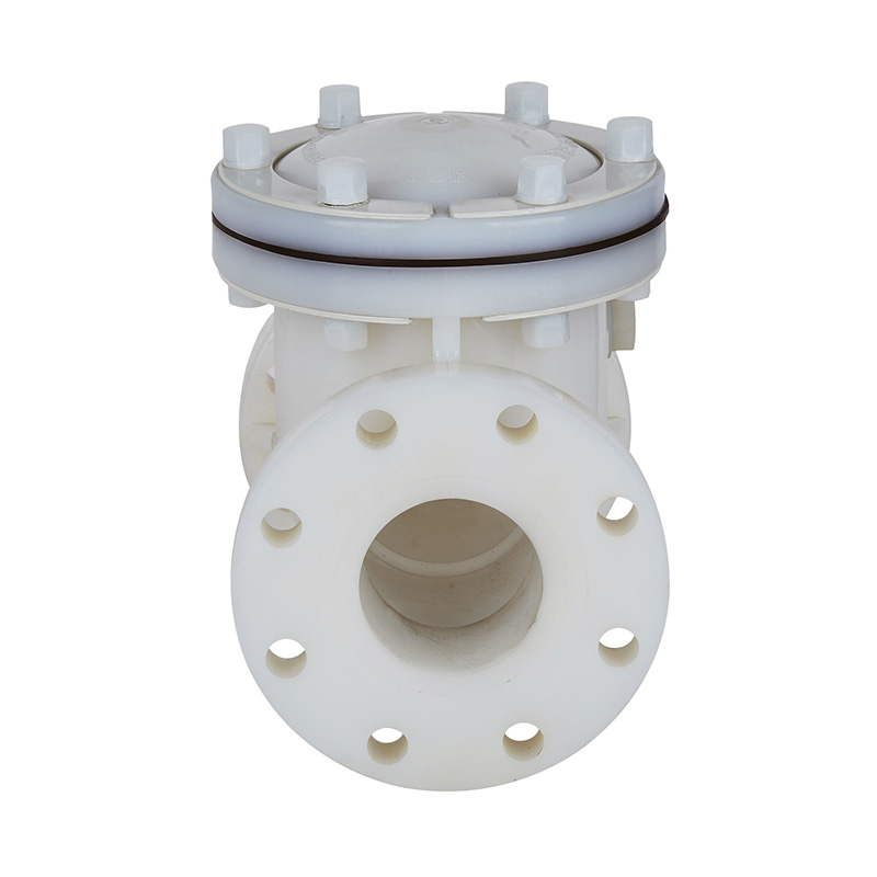 PVDF H44F-10F نوع سوئینگ شیر چک DN15-300 1/2'-12' ANSI استاندارد