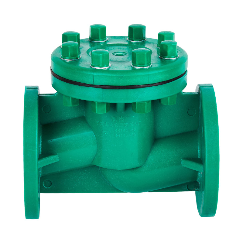 FRPP H41F-10S Life Type Check Valve DN40-80 GB استاندارد