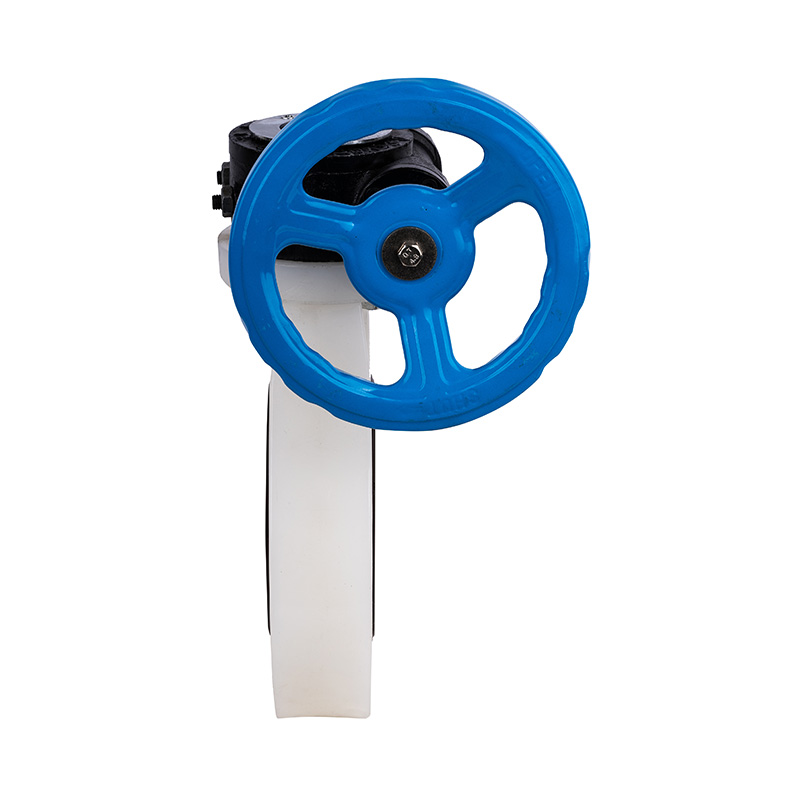 PVDF D371X-10F Worm-Gear Butterfly Valve DN32-1000 GB استاندارد