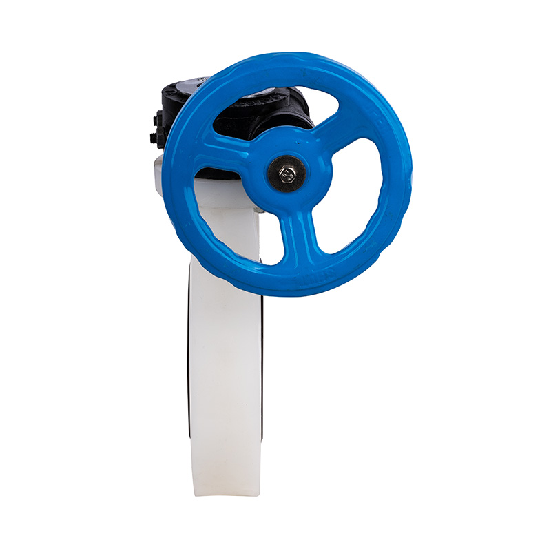 PVDF D371X-10F Worm-Gear Butterfly Valve DN40-1000 1-1/2'-30' ANSI استاندارد