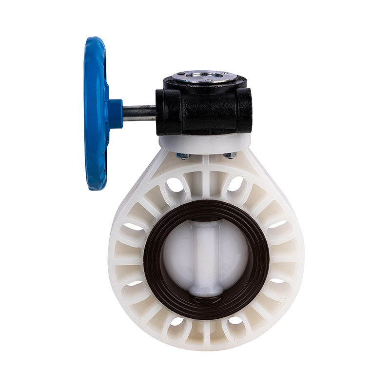 PVDF D371X-10F Worm-Gear Butterfly Valve DN40-1000 1-1/2'-30' ANSI استاندارد